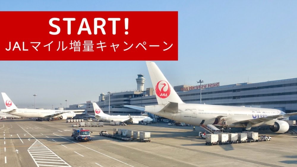 ドットマネからPonta経由でJALマイル交換ルートが誕生