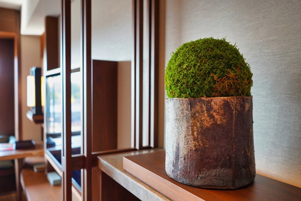 HOTEL THE MITSUI KYOTO宿泊記〜苔玉