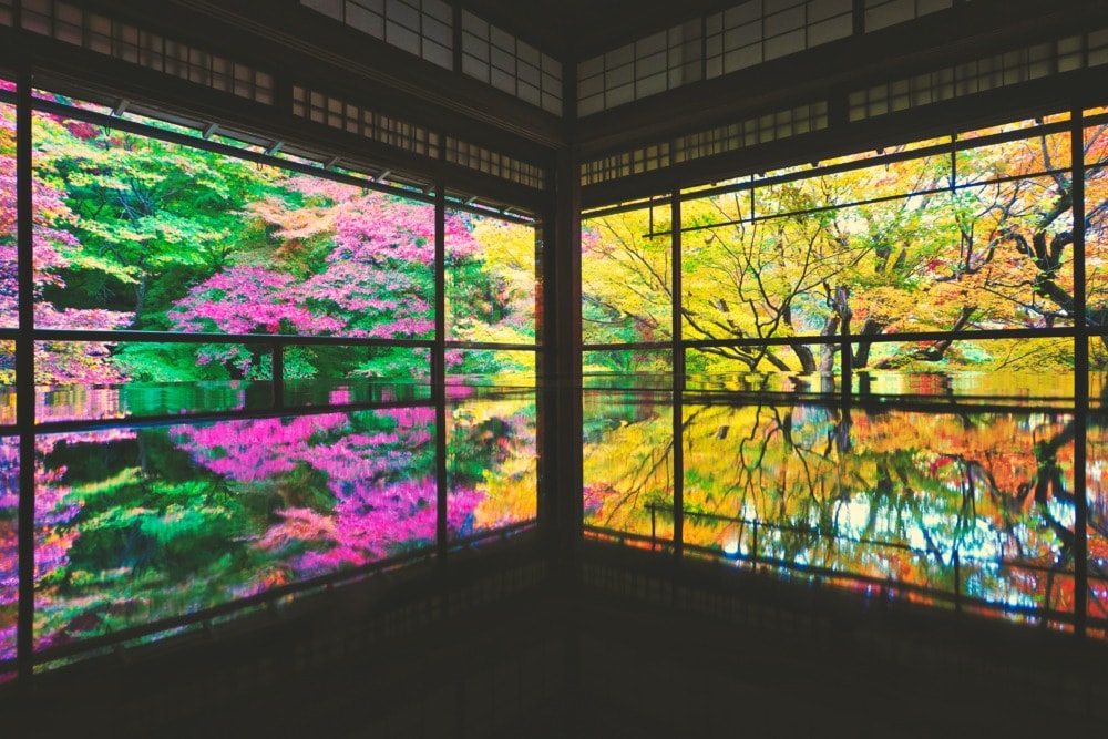瑠璃光院の紅葉