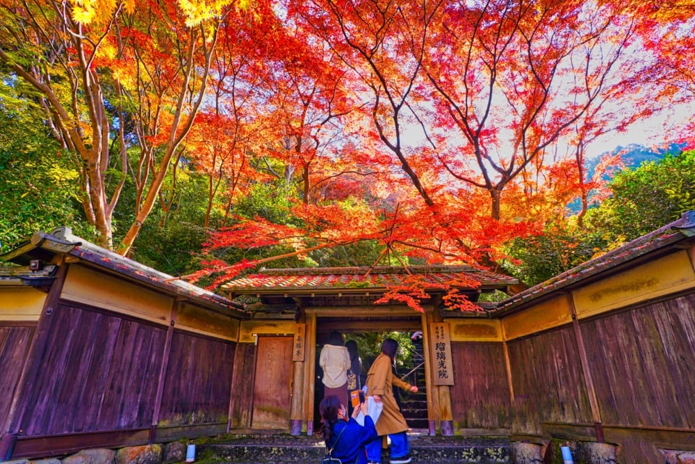 瑠璃光院正面玄関