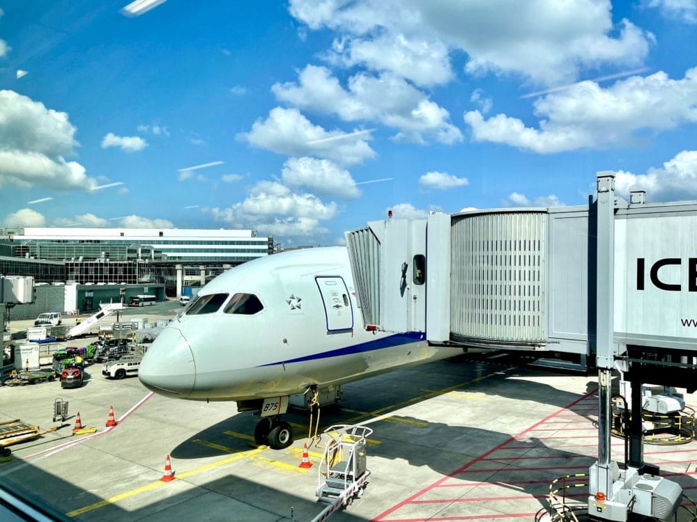 ANAフランクフルト-東京搭乗記・飛行機