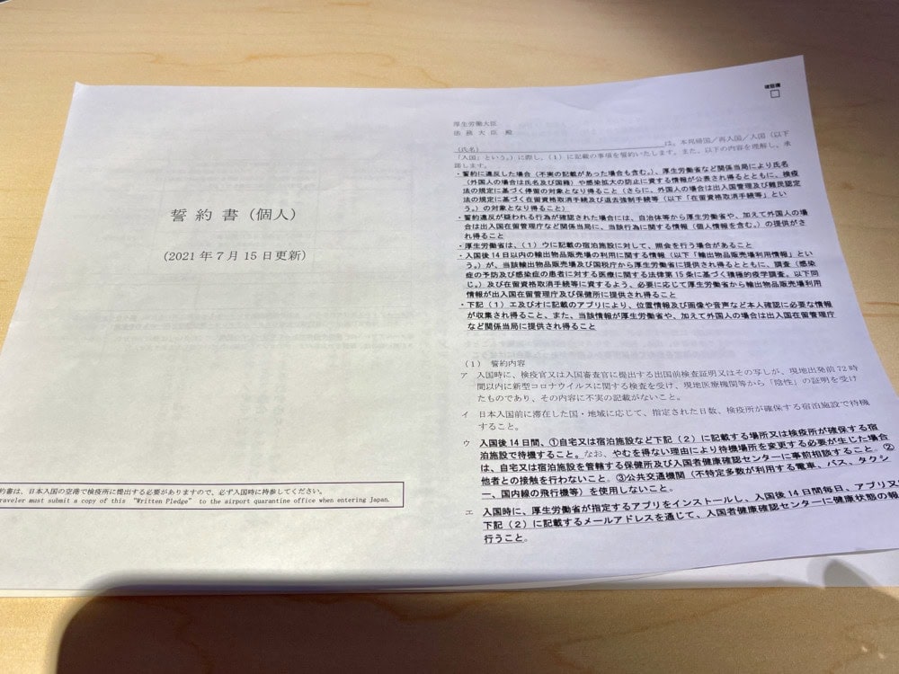 ANAフランクフルト-東京搭乗記・NH204便・入国書類