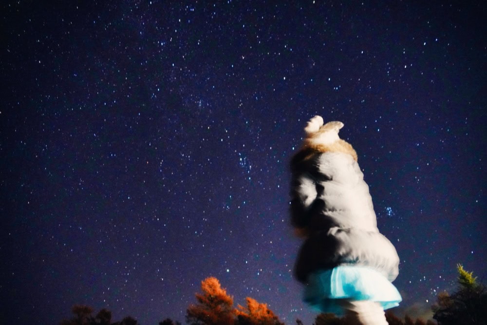 ザ・リッツカールトン日光宿泊記・星空鑑賞ツアー・満点の星