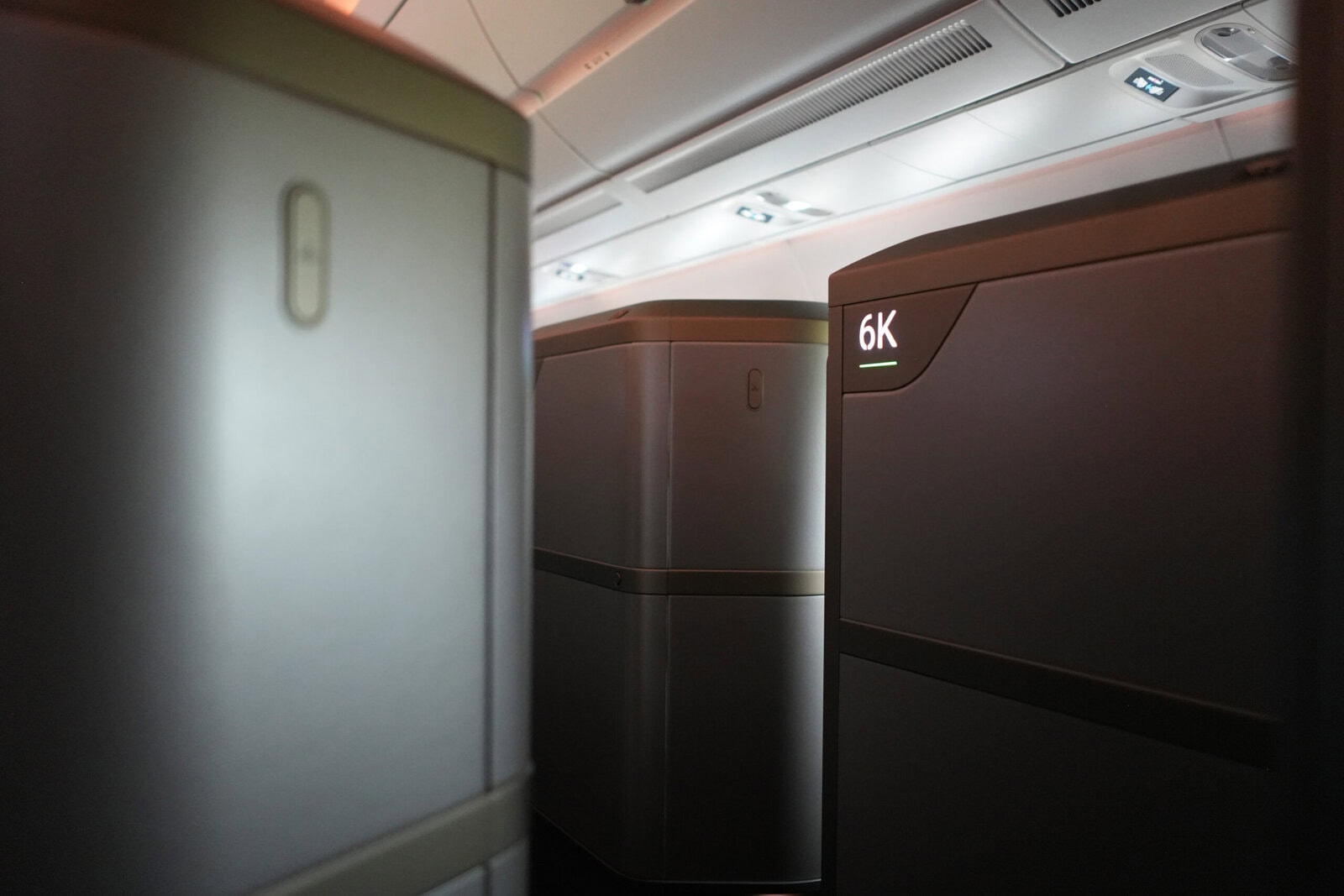 スターラックス航空ビジネスクラス搭乗記・通路側