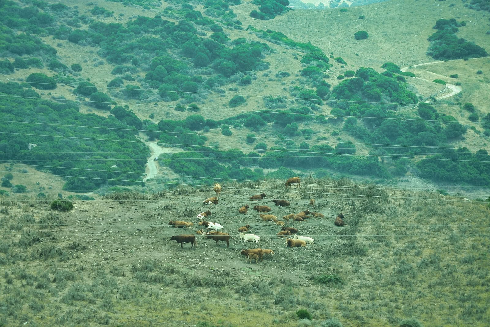 南スペインの風景