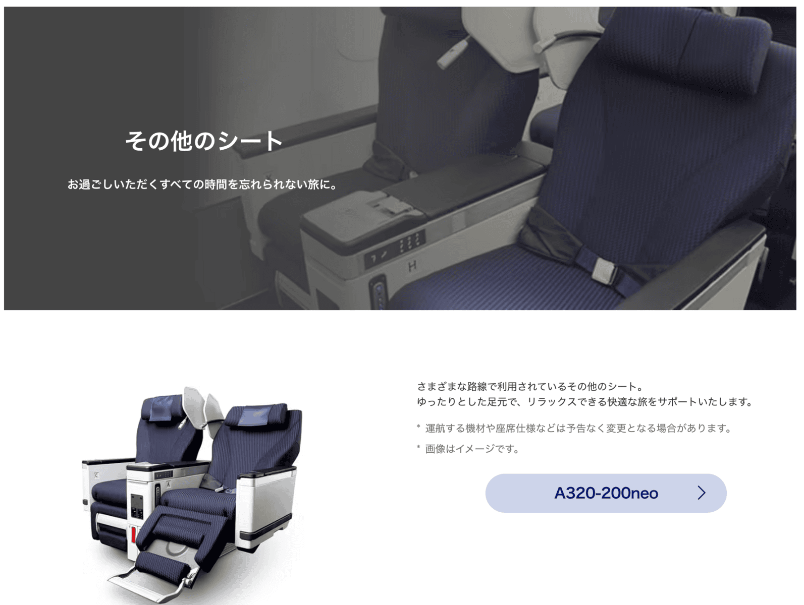 ANAビジネスクラス その他のシート