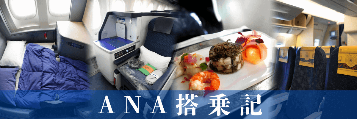 flight-report-ana