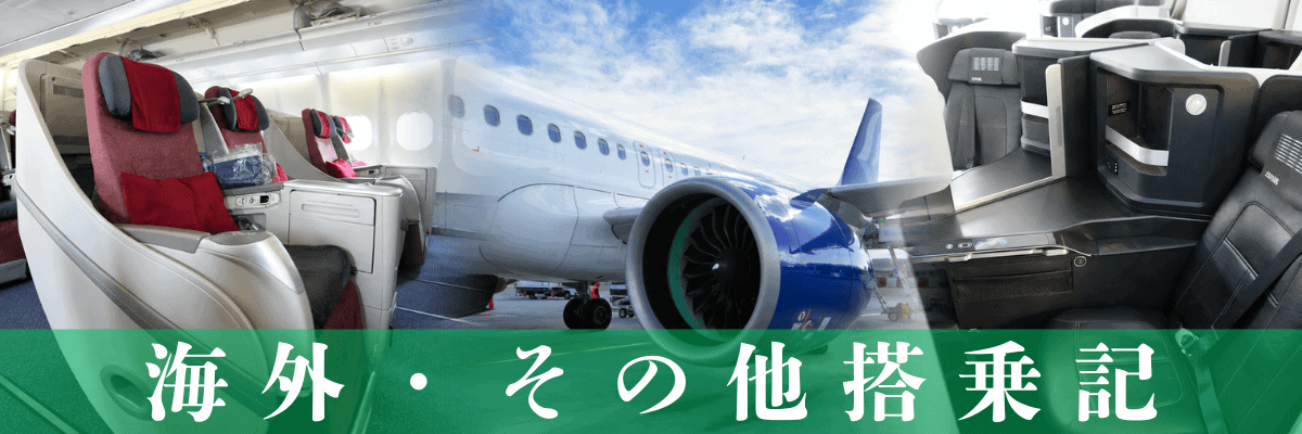 flight-report-other