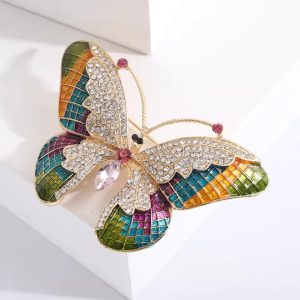 Multi Colour Pattern with Stone Butterfly Brooch