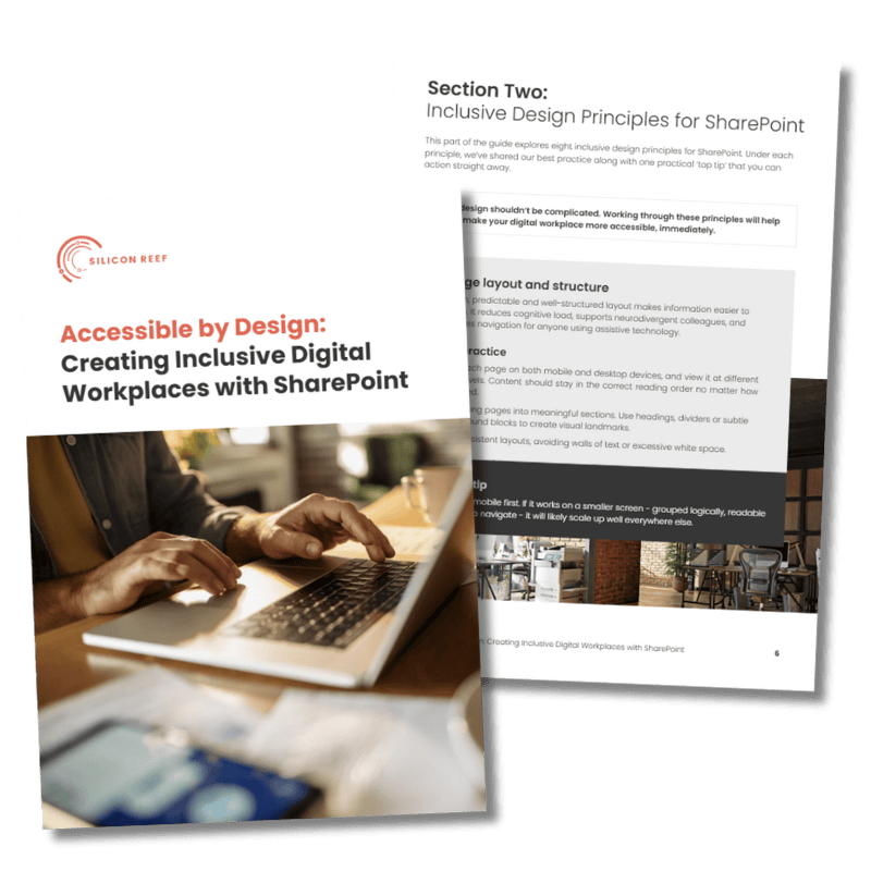 Preview of the front cover of the accessibility guide