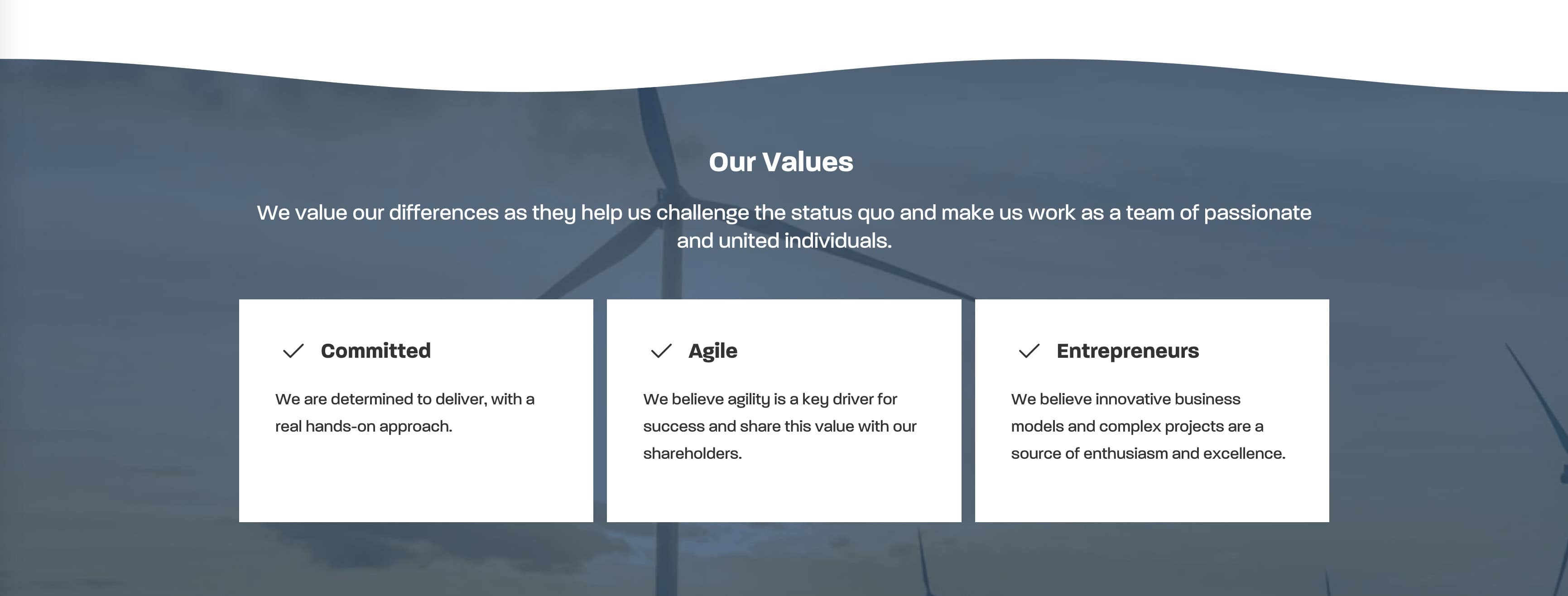 TagEnergy Intranet Values