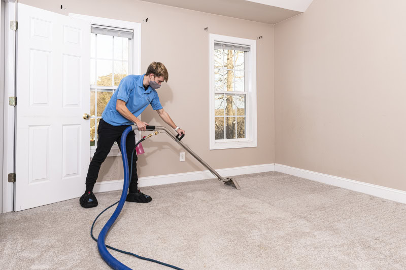 Carpet Cleaning