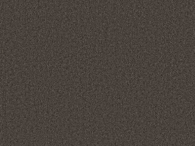 Teppichboden 50B6 - Arvia - Concepta<sup>©</sup> 5 new - 50B6