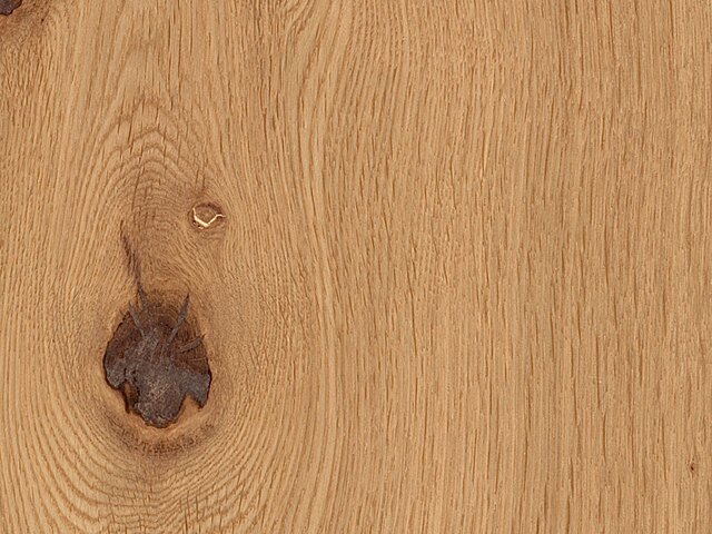 Parkett Webster Oak - astig, gebürstet, geölt - Landhausdiele - Oakland new - zum Klicken - Webster Oak - astig, gebürstet, geölt, EI50 – KI bearbeitet