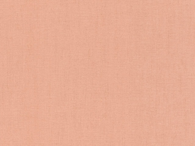 Tapete 019 - Wallbasics 2026 - 019