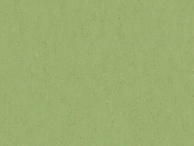 Linoleum E75410 - Effecta R10 - Concepta<sup>©</sup> 10 - E75410