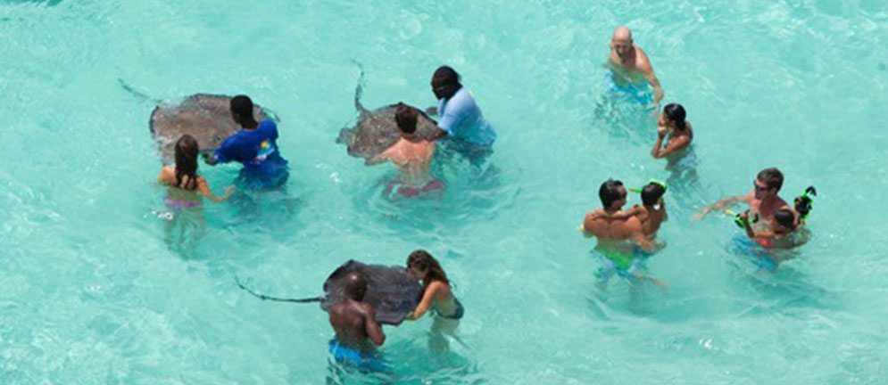 Life Outside of a Caribbean Medical School