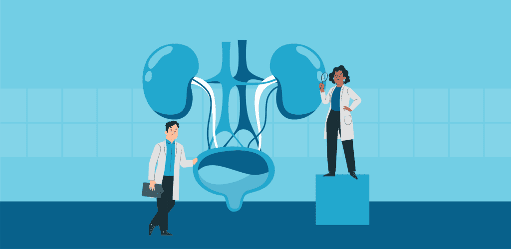 nephrologist-vs-urologist