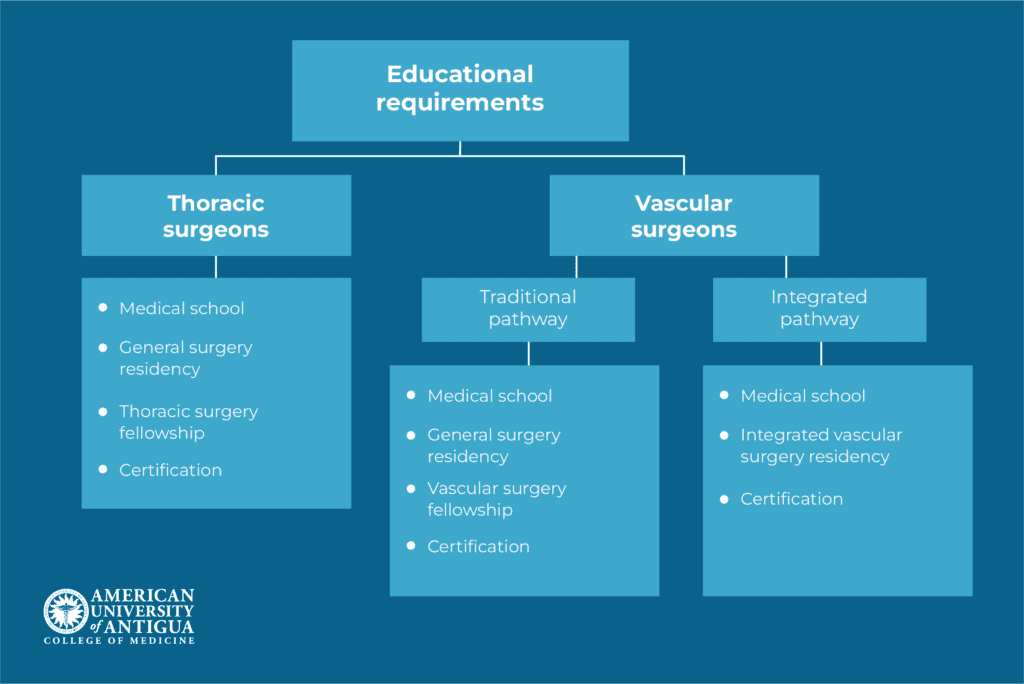 thoracic-vs-vascular-surgery-educational-requirements