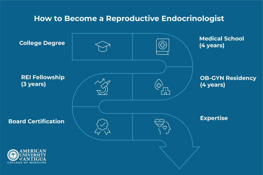 how-to-become-reproductive-endocrinologist