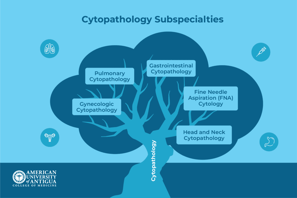 cytopathology-subspecialities