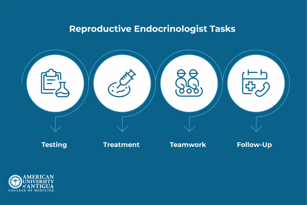 reproductive-endocrinologist-tasks