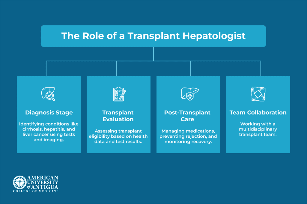 what-does-a-transplant-hepatologist-do