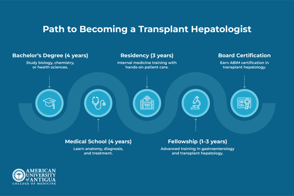 transplant-hepatologist-pathway