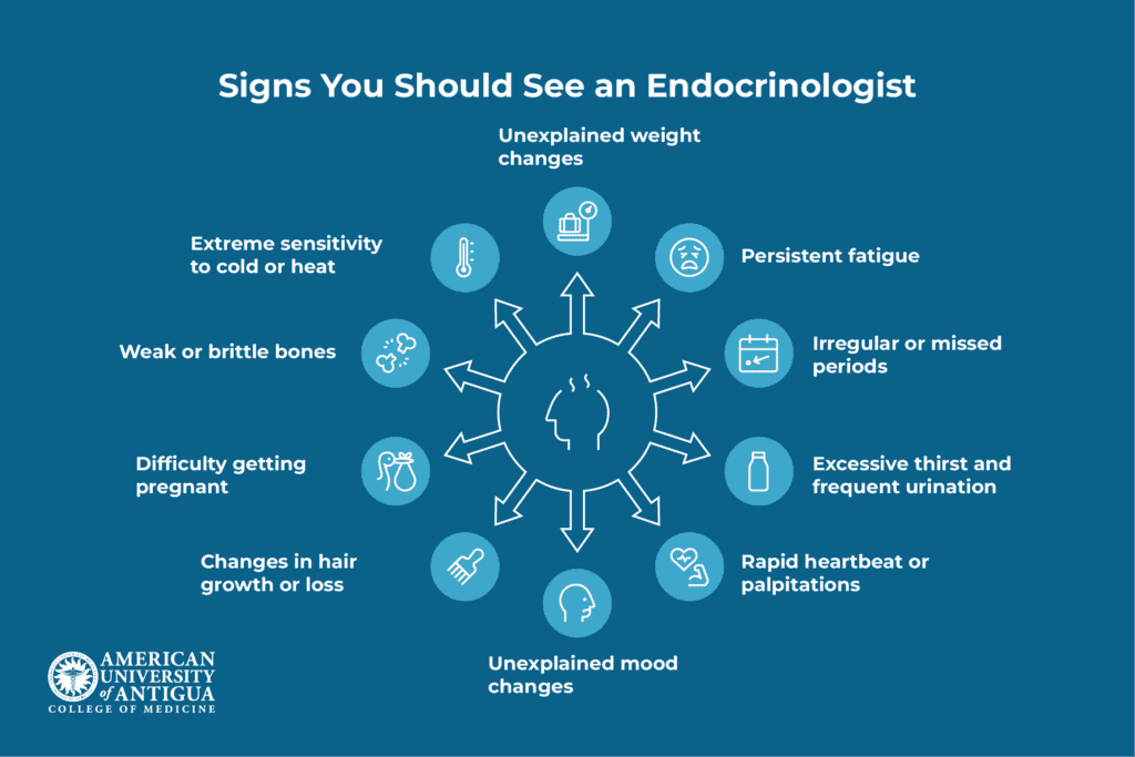 signs-you-should-see-an-endocrinologist
