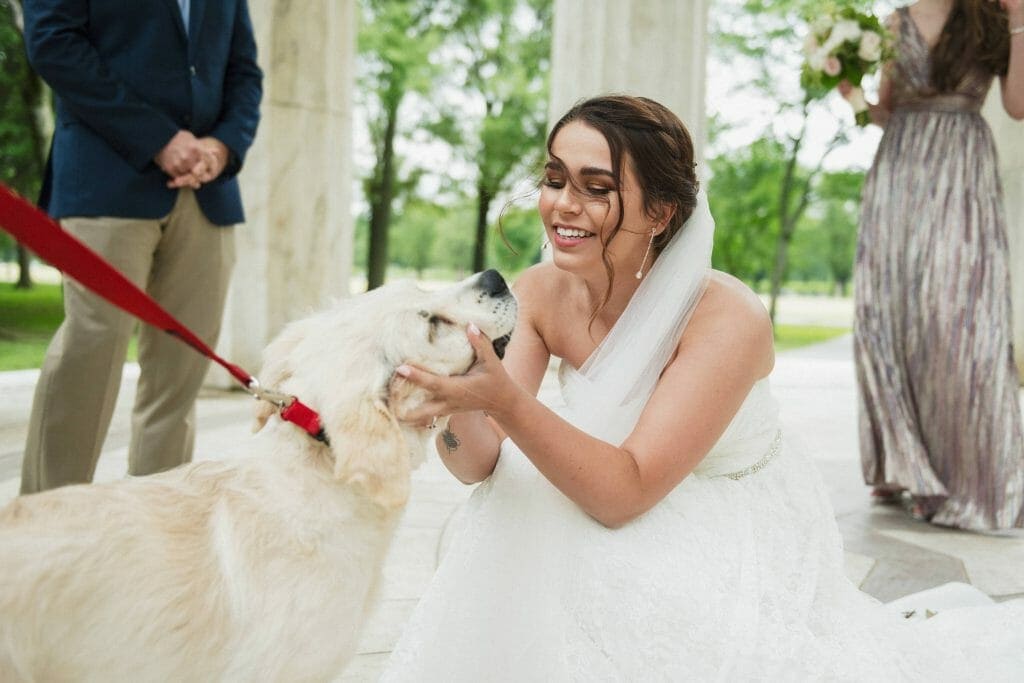 A DC War Memorial Wedding