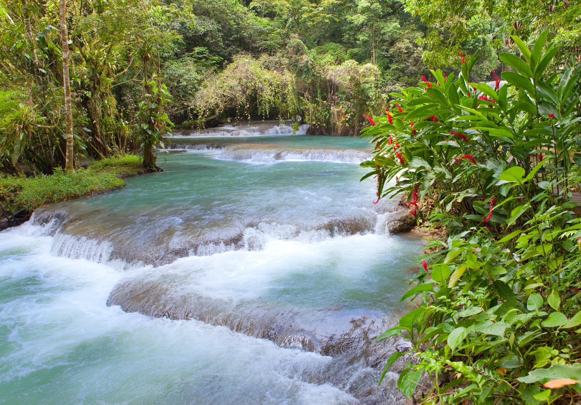 Jamaica