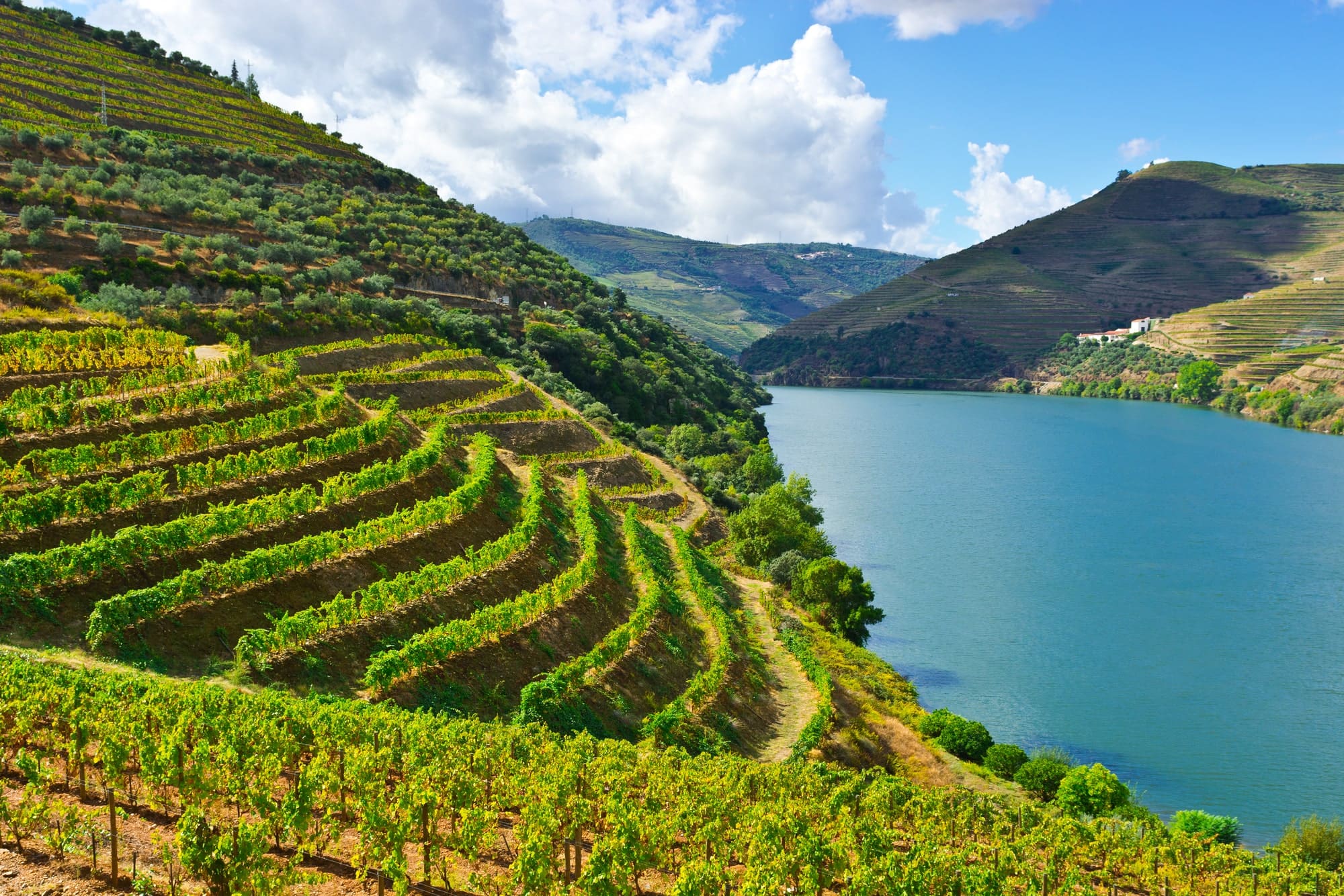 Douro