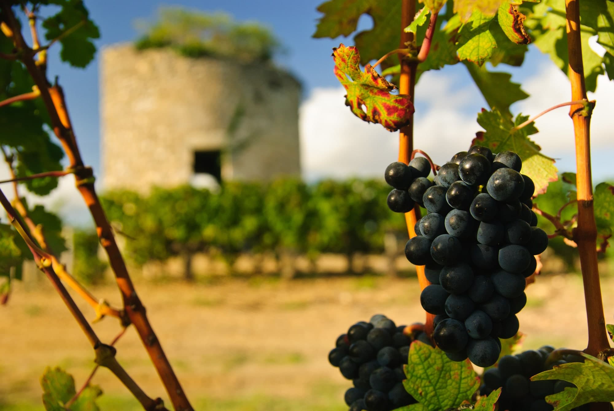 Bourgogne Epineuil