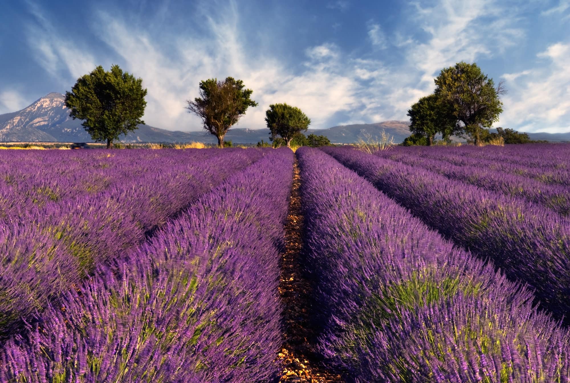 Côteaux d’Aix en Provence