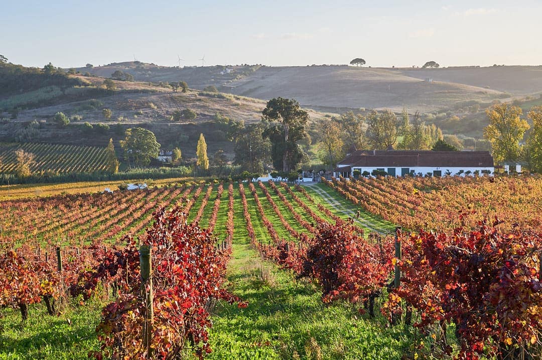 Quinta do Pinto