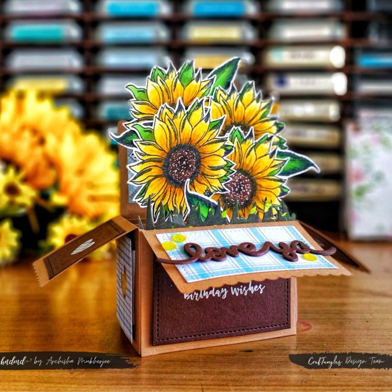 Stunning Pop Up Box Birthday Card 3 Stunning Pop Up Box Birthday Card 2