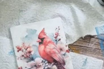 Live - DIY Decoupage frame