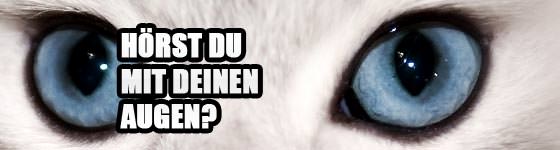 Mixing Tutorial: Hörst Du mit deinen Augen?