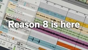 Reason 8 Testbericht