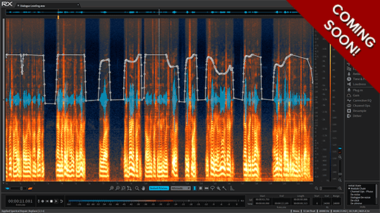iZotope RX 5 Audio Editor