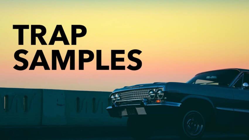 Trap Samples & Loops