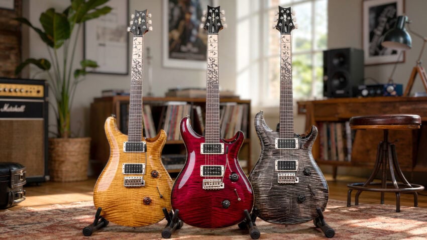 PRS Custom 24 Birds of a Feather