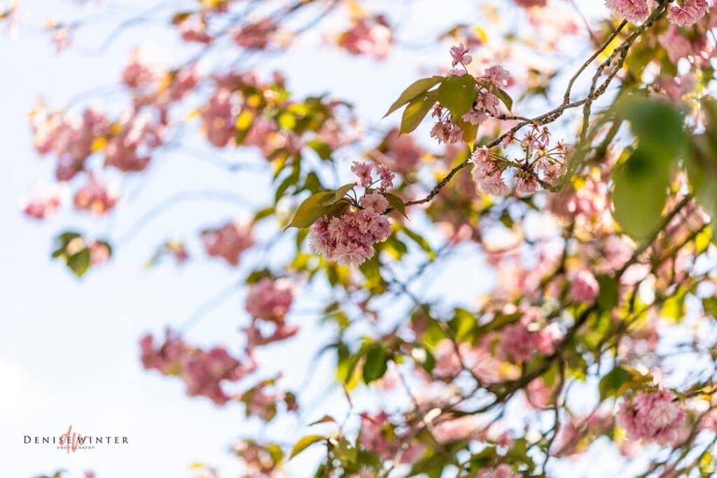 wedding details at Lillibrooke Manor