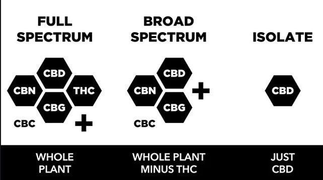 CBD oil