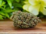 Bubba Kush 33 Bud Delta 8 THC
