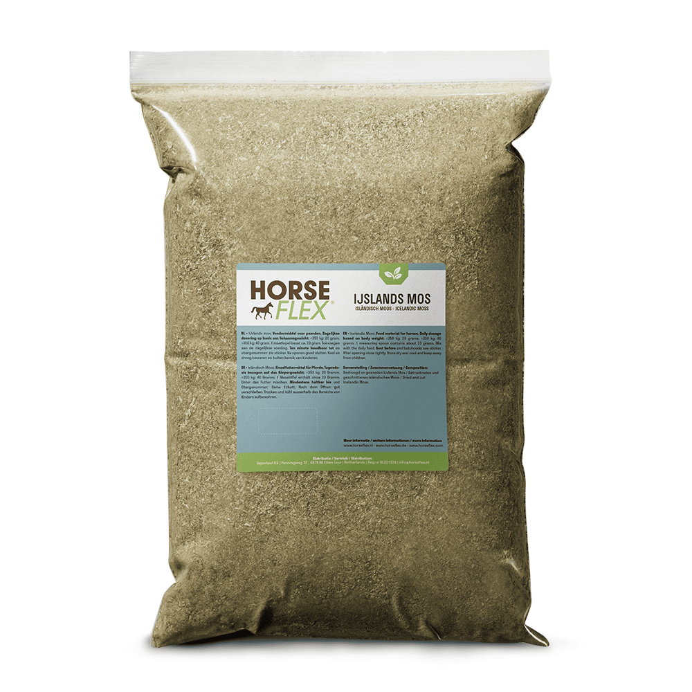 Glorex Premium Wolle aus 100 % Acryl, 50 g, ca. 140 m, grün