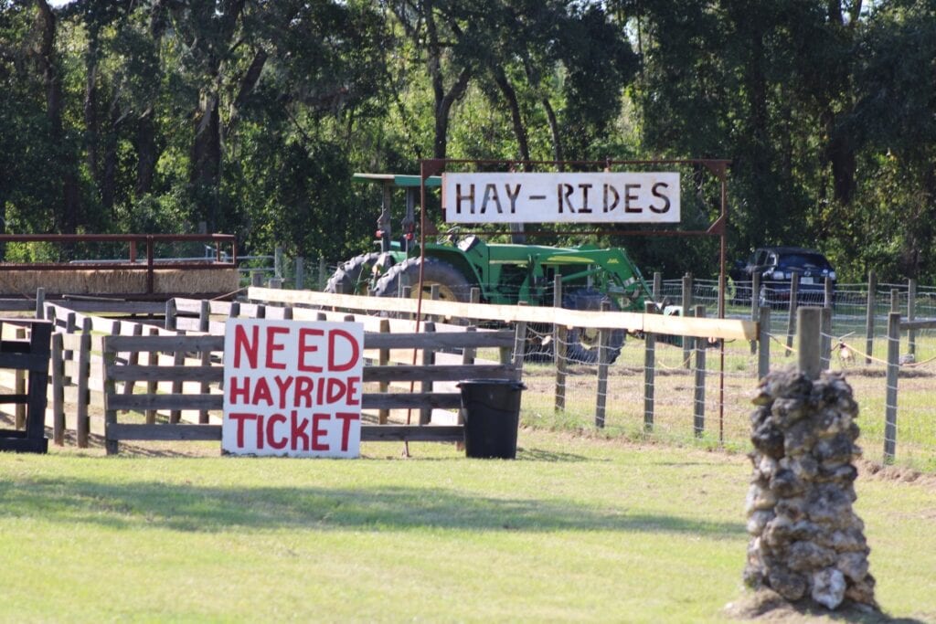 During daylight hours, the corn maze is scare-free.