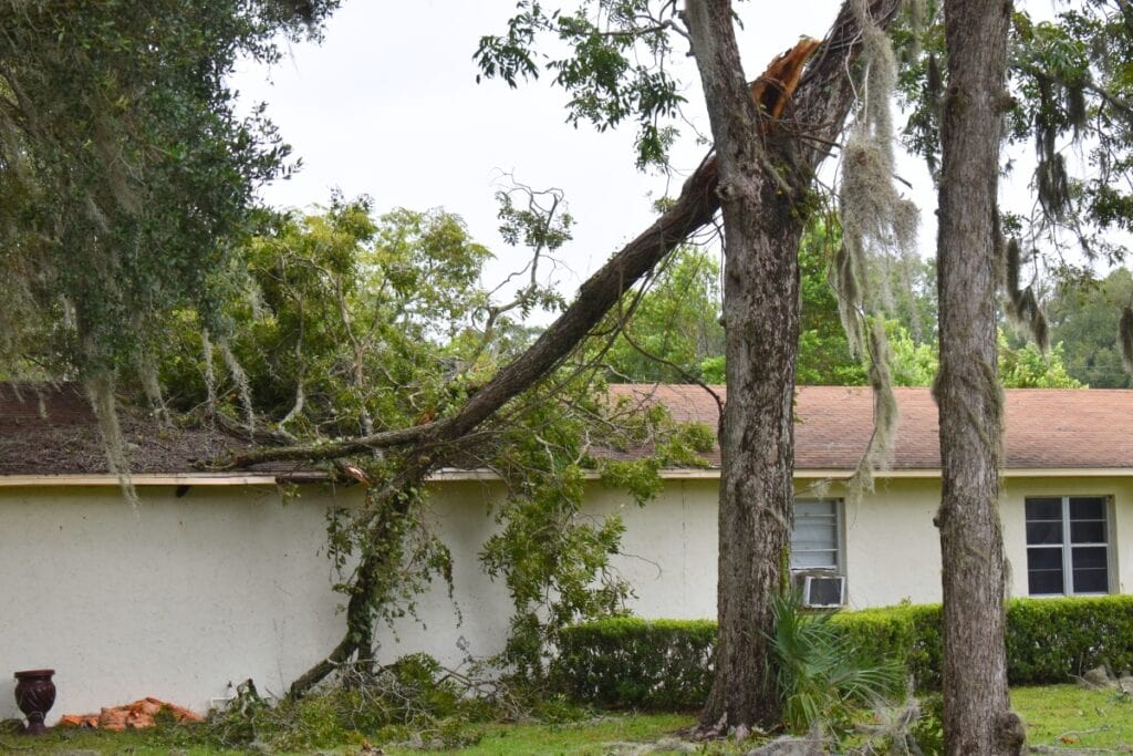 While coastal towns received the brunt of the damage from Hurricane Idalia, inland areas like Chiefland also sustained wind damage.