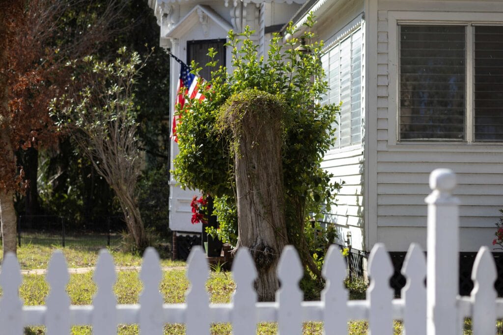 Vines curl over the top of a wildlife pole incorporated into a front-yard landscape.
