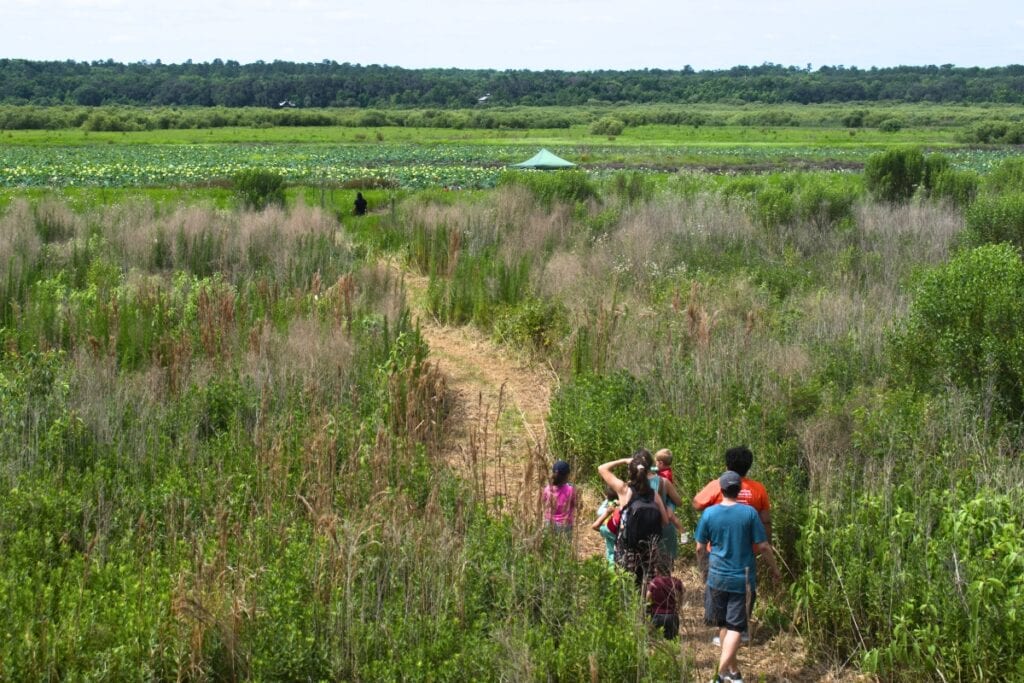 Alachua Conservation Trust will host the CrEEK Family Fest on Saturday at the Tuscawilla Preserve in Micanopy. Courtesy of ACT